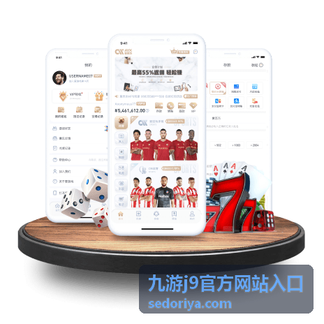 九游j9官方网站入口地址核对界面示意